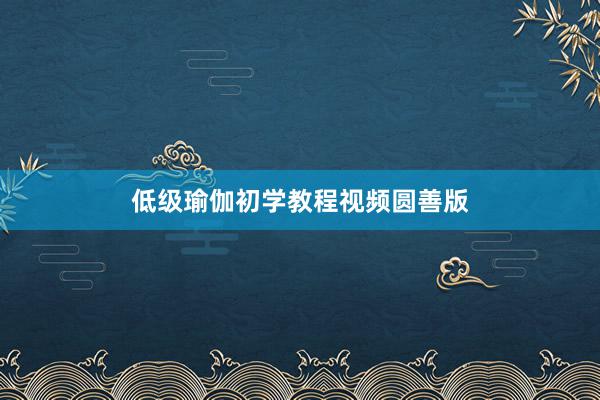 低级瑜伽初学教程视频圆善版