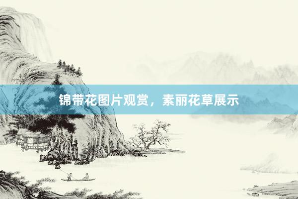 锦带花图片观赏，素丽花草展示