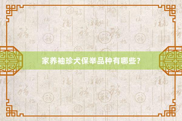 家养袖珍犬保举品种有哪些？