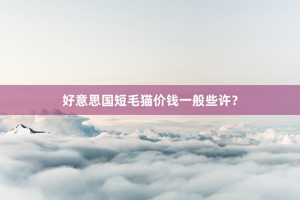 好意思国短毛猫价钱一般些许？